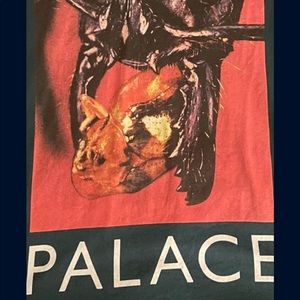 Palace skateboard long sleeve T